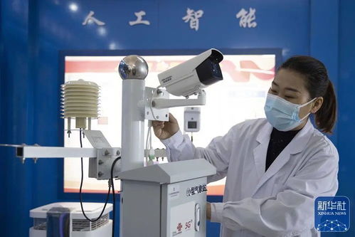 央媒看龙江 中国最北自贸区，数字经济与绿色科技双引擎驱动发展